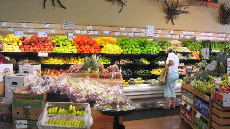 roots vegetarian and organic grocery store (2)