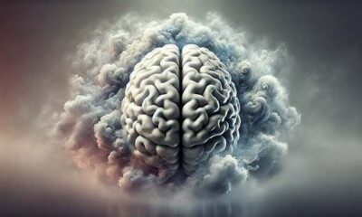 Brain Fog