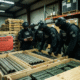 Feds Block Foreign Weapons Coup Plot