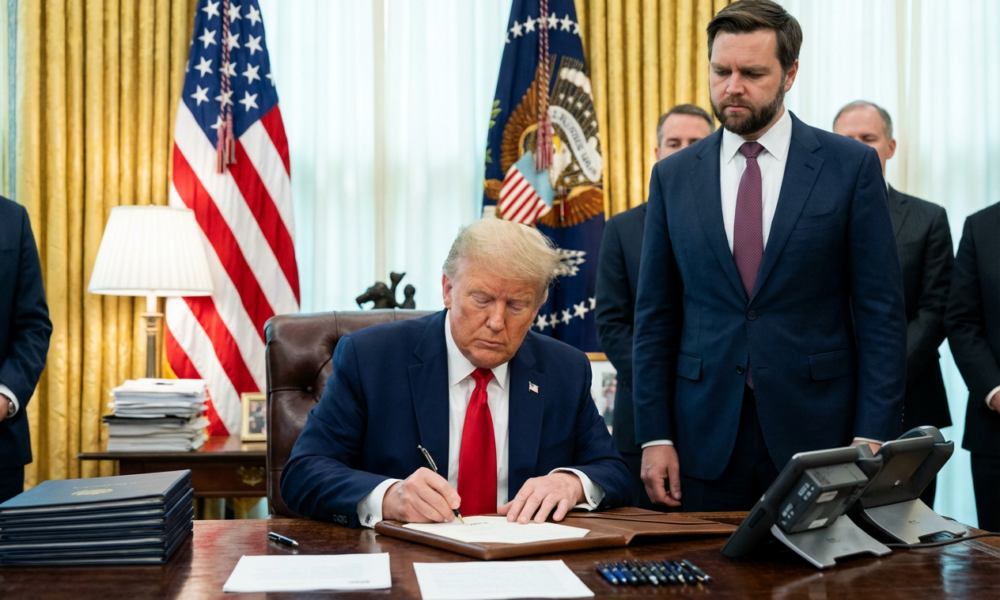 Government Launches Bold Offensive Against Benefit Fraud Crippling the Nation