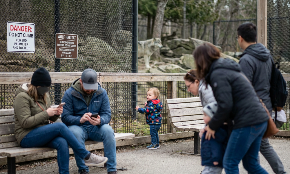 Pennsylvania Parents Face Child Endangerment Charges After Zoo Risk Mishap