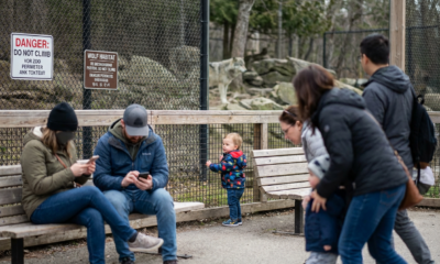 Pennsylvania Parents Face Child Endangerment Charges After Zoo Risk Mishap