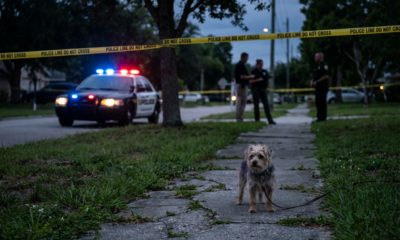Florida Man’s Wild Confession Unravels in Brutal Dog Walking Attack