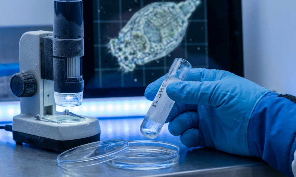 Scientists Revive a 24,000-Year-Old Organism from Siberian Permafrost — And It's Thriving Again