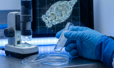 Scientists Revive a 24,000-Year-Old Organism from Siberian Permafrost — And It's Thriving Again